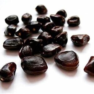 Organic Tamarind Seeds