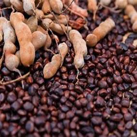Organic Tamarind Seeds
